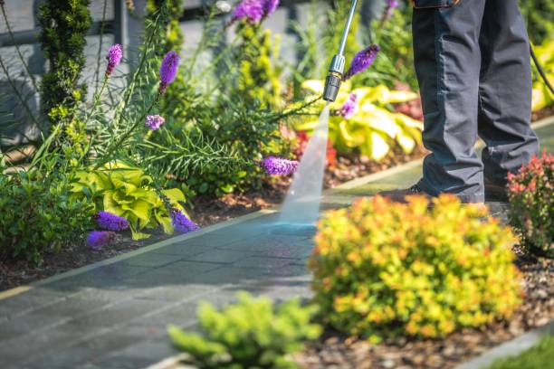 Newark, CA Pressure Washing Services Company